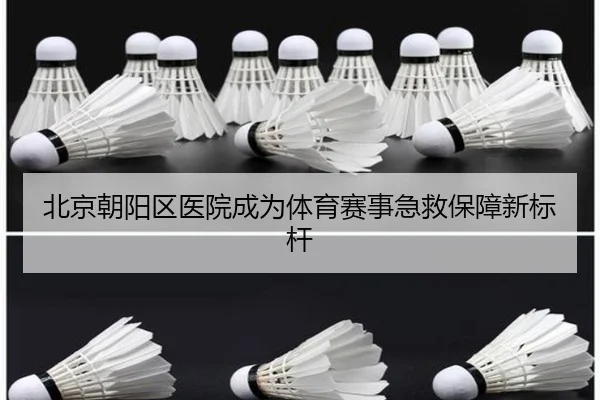 北京朝阳区医院成为体育赛事急救保障新标杆